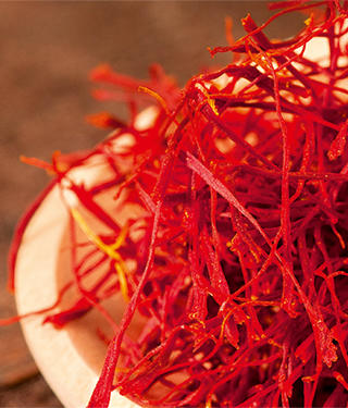 Cellophanes Saffron Red Gloss Colorante | Sebastian Professional